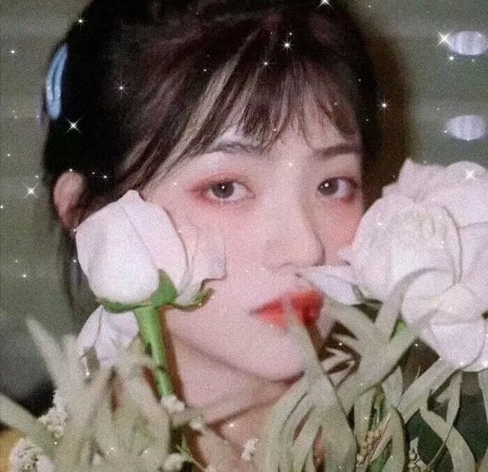 恋恋不忘的我们